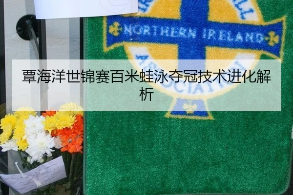 覃海洋世锦赛百米蛙泳夺冠技术进化解析